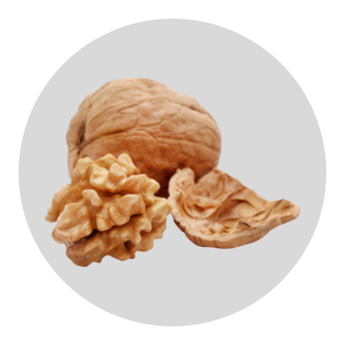 Walnut