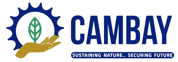 Cambay Industries